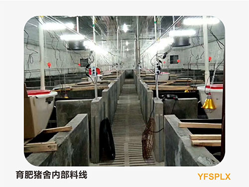 养猪料线清洗的必要性以及注意事项